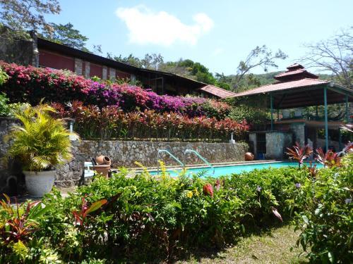 Hotel The Golden Frog Inn