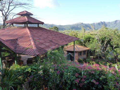 Hotel The Golden Frog Inn