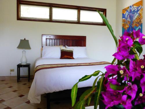Hotel The Golden Frog Inn
