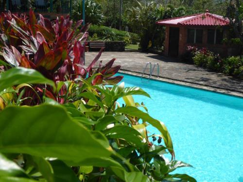 Hotel The Golden Frog Inn
