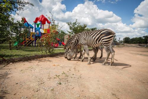 Mokorro Game Ranch And Lodge