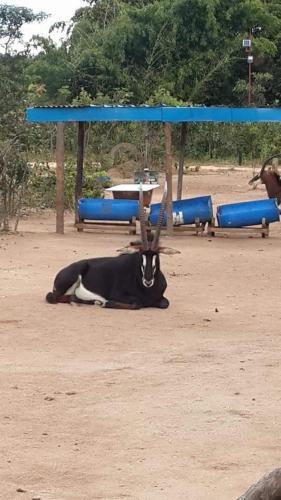 Mokorro Game Ranch And Lodge