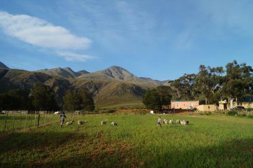 Agroturismo Swartberg Backpackers