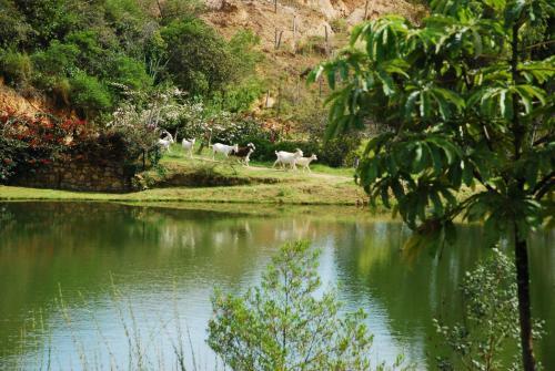 Agroturismo La Casa Que Canta