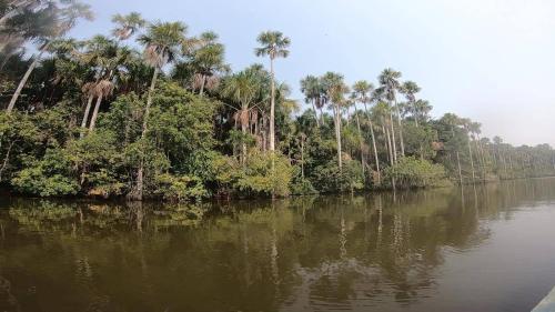 Ecolucerna Lodge Tambopata