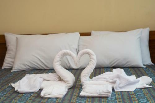 Hotel Jhor Bush