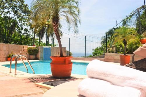 Apartamento Condo Selva Alta