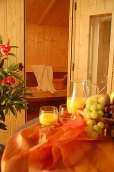 Dialog-hotel