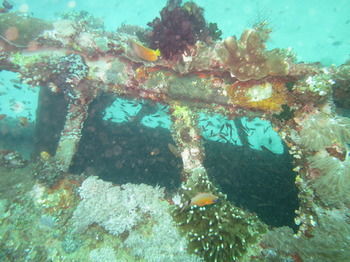 Apartamento Badladz Dive Resort