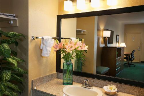 Best Western Gardens Hotel At Joshua Tree National Park