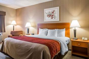 Hotel Comfort Inn