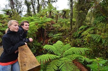 Motel Rainforest Retreat