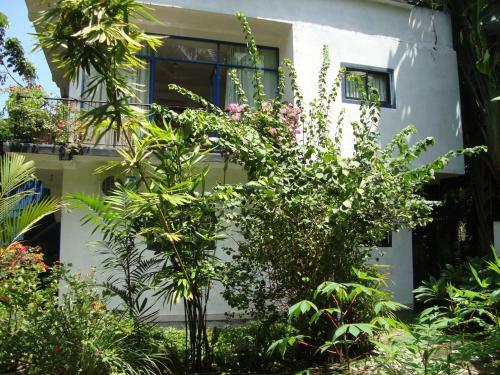 Hostal Royal Villa