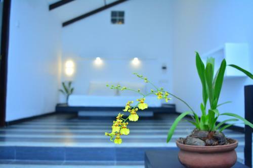 Posada Midigama Holiday Inn