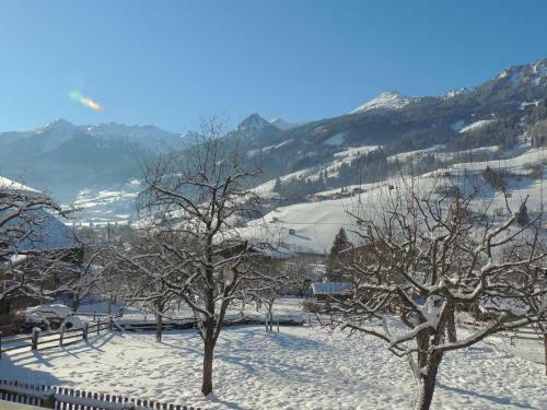 Apartamento Hoislbauerngut