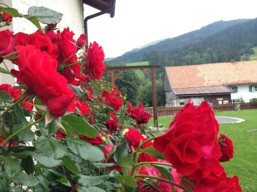 Hostal Haus Tannhof