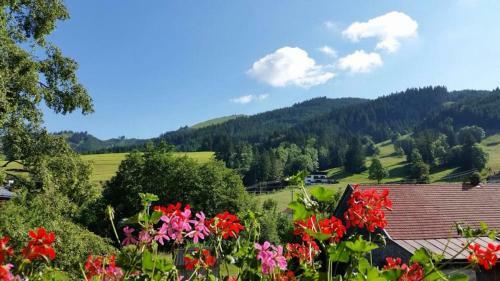 Hostal Haus Tannhof