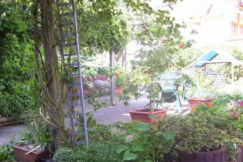 Apartamento Ferienwohnung Dietlinde