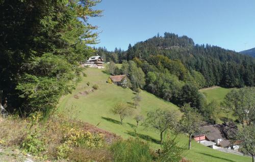 Holiday Apartment Bad Peterstal-griesb. 07