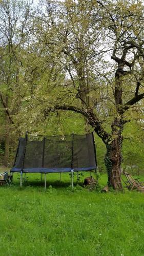 Apartamento Villa Im Park Wachwitzgrund