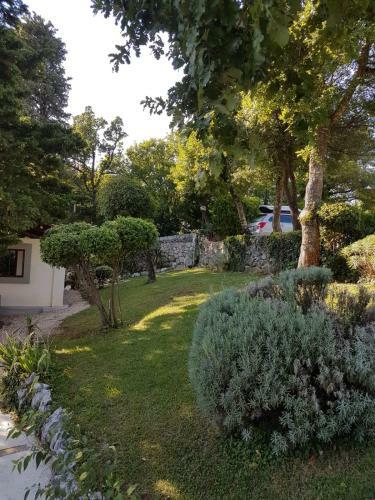 Apartments Villa Dora