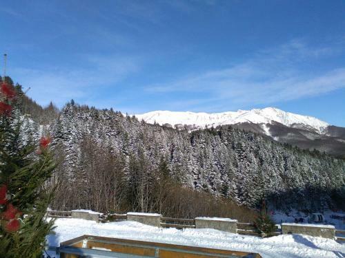 Hostal Affittacamere Ciuti