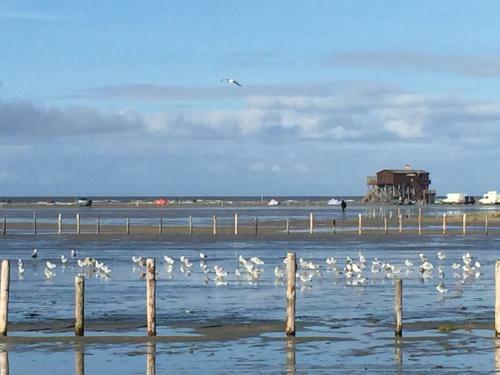 Apartamento H�s Am Wall - Reetdachapartments - St. Peter Ording