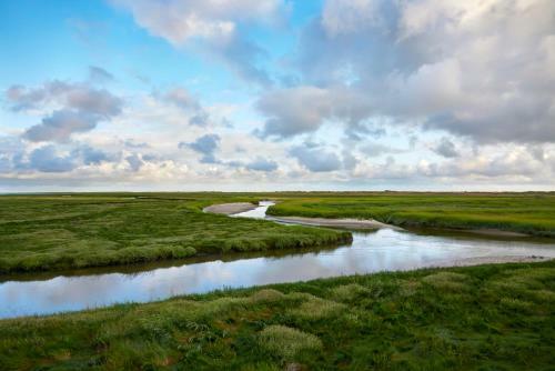 Apartamento H�s Am Wall - Reetdachapartments - St. Peter Ording