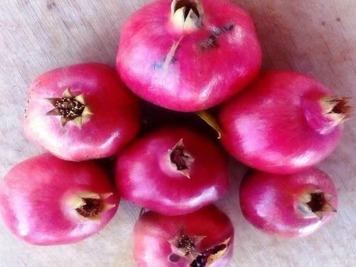 Apartamento Casa Brito Maritenda