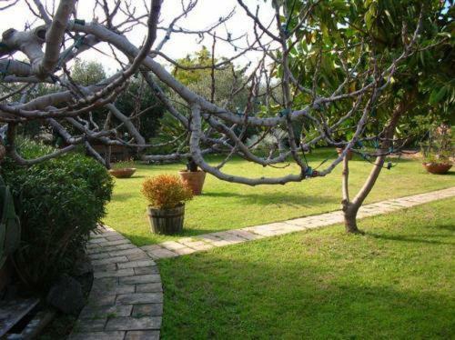 Bed & Breakfast Villa Chiarenza Maison D'hotes