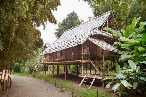 Camping L'olivier Junas