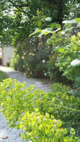 Bed & Breakfast La Clef Du Bonheur