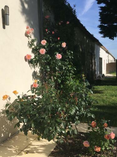 Hostal Ferme De Maillezais