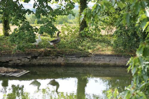 Bed & Breakfast Ch�teau De La Frogerie