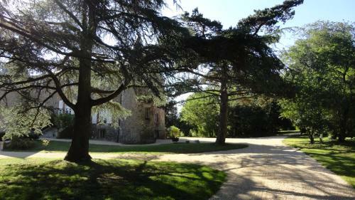 Bed & Breakfast Ch�teau De La Frogerie