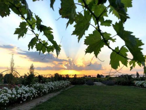 Bed & Breakfast Il Fienile Di Assisi