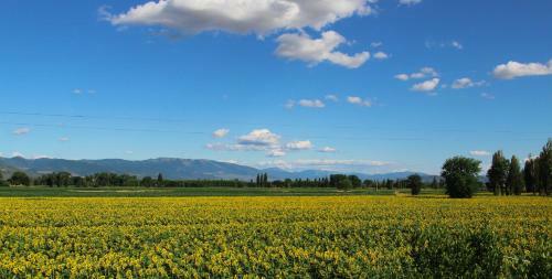 Bed & Breakfast Il Fienile Di Assisi