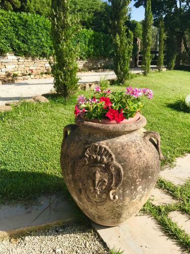 Apartamento Casale Il Sa�co