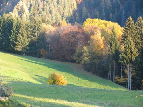 Apartamento Dolomiti Di Brenta House