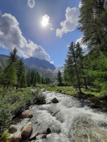 Apartamento Dolomiti Di Brenta House