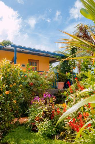 Hotel Isla Verde