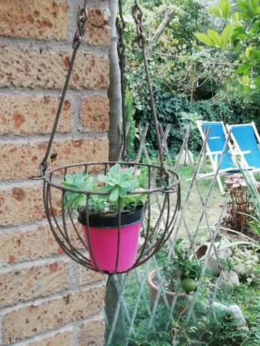B&B Porte Rosse