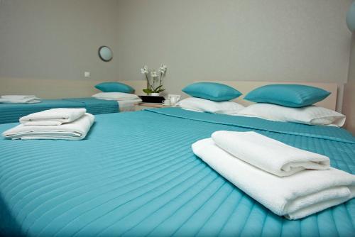 Hotel Air Express Sheremetyevo