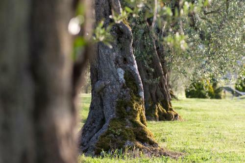 Apartamento Agriturismo La Sosta Di Annibale