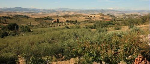 Bed And Breakfast Floristella