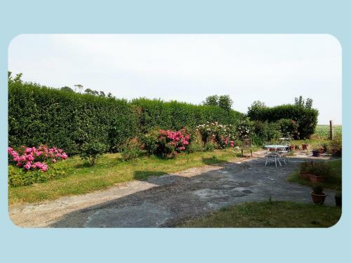 Bed & Breakfast La Ferme Du Parc