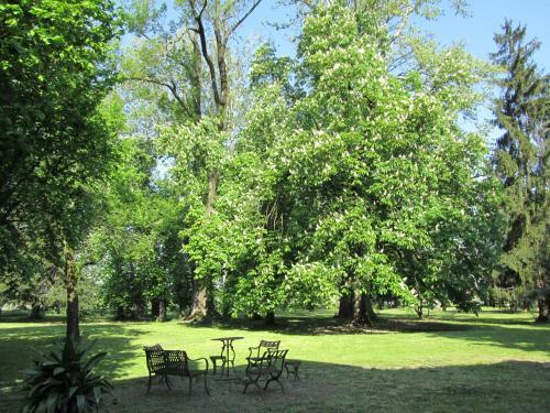 Agroturismo Villa Selvatico
