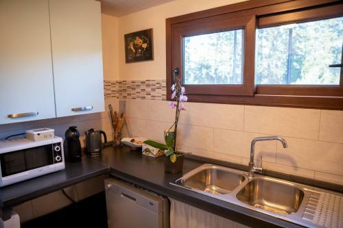 Apartamento Appartamento Camisa