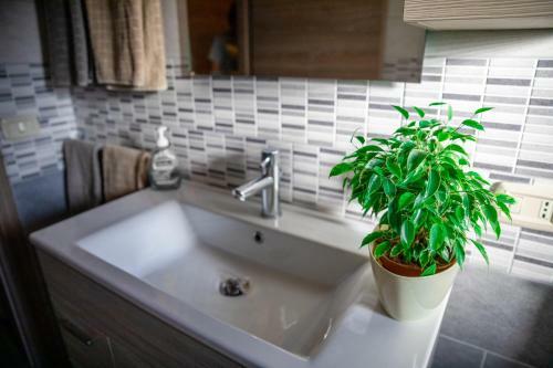 Apartamento Appartamento Camisa