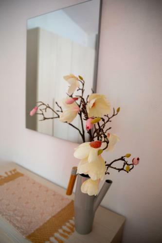 Apartamento Appartamento Camisa